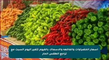 أسعار الخضراوات والفاكهة والأسماك بالفيوم تتغير اليوم السبت مع تراجع الطقس الحار